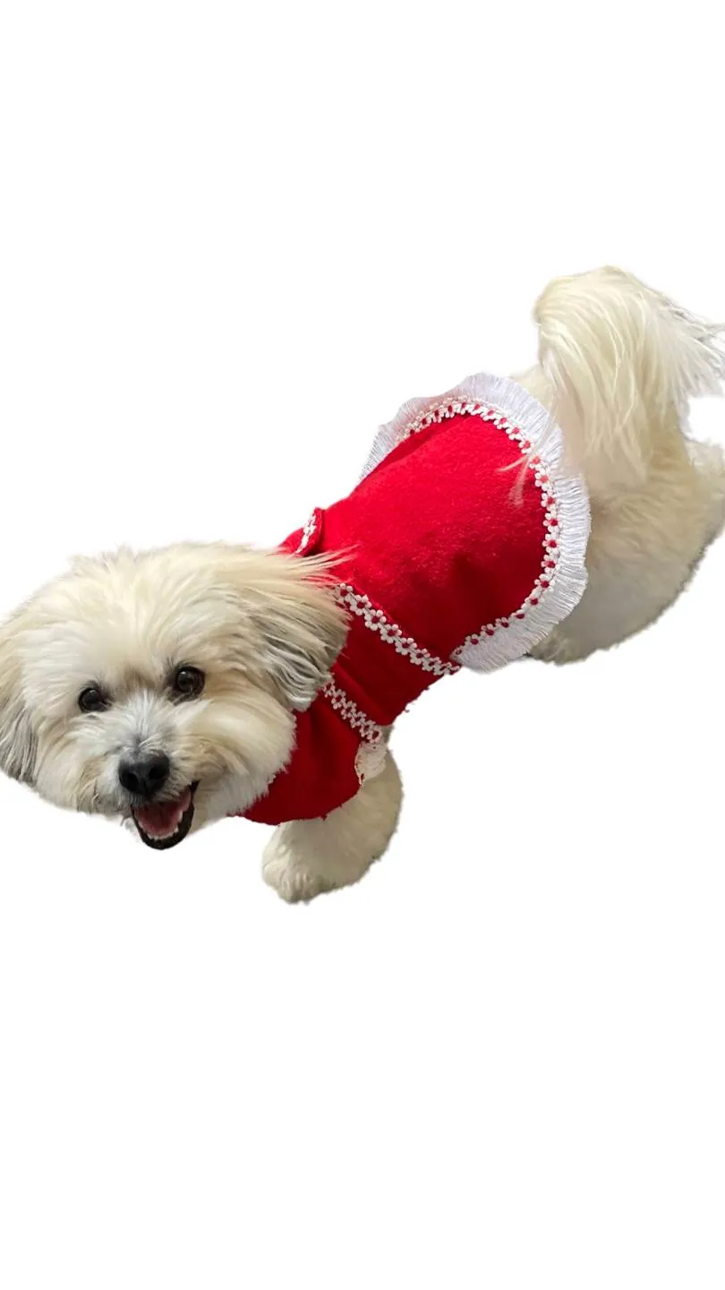 Dog Terry Beach Poncho